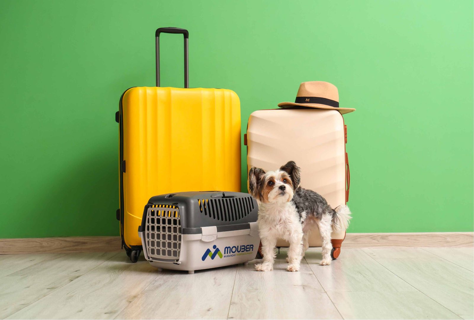 Perro junto a su guacal de viaje y maletas antes de un traslado internacional